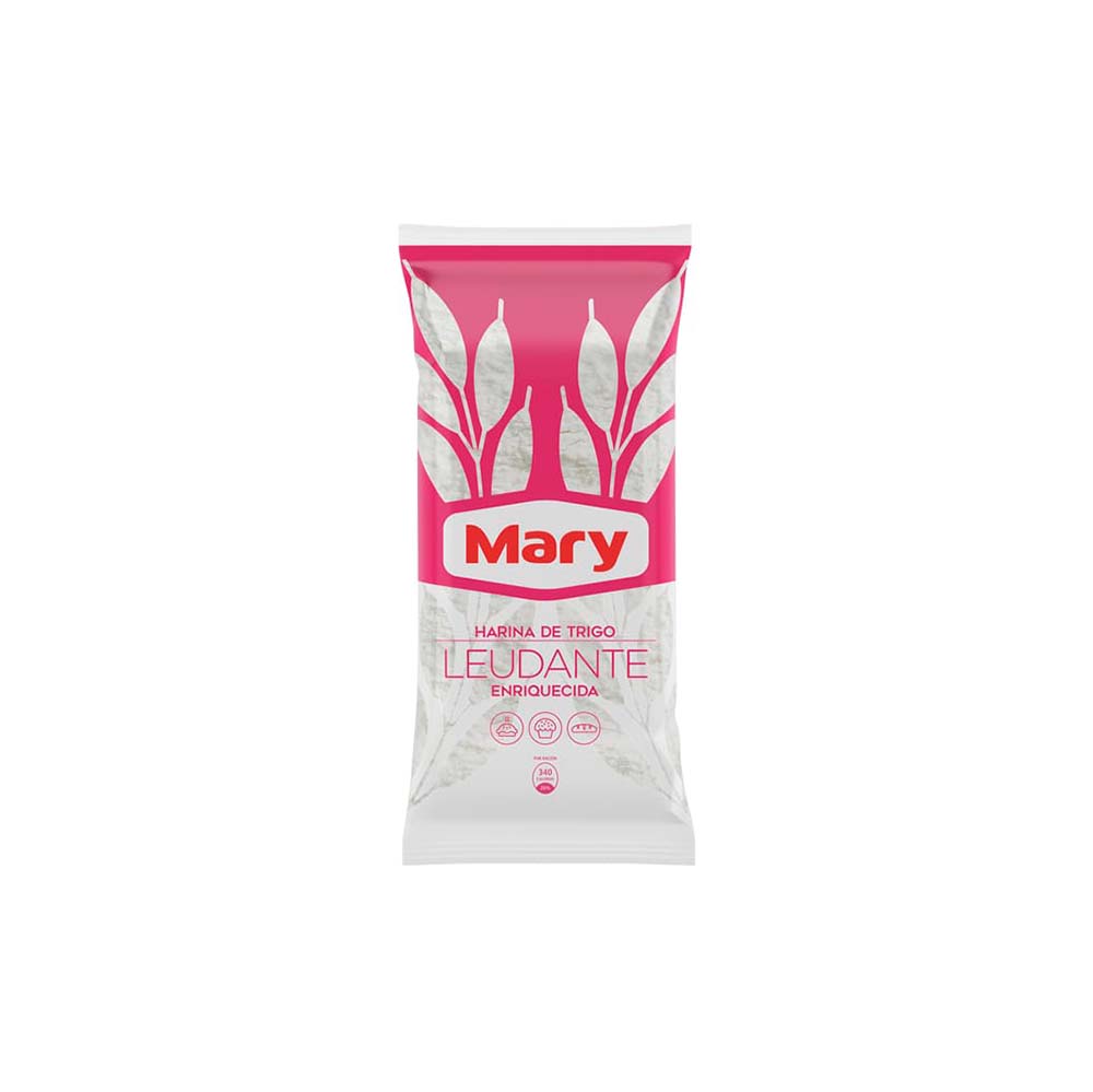 HARINA DE TRIGO MARY LEUDANTE 900G